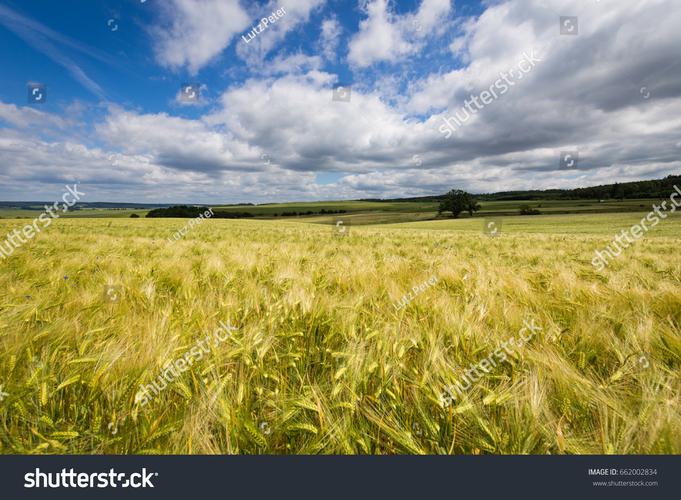 Crop - 农场模拟经营手游_资料大全-2 Crop - 农场模拟经营手游_资料大全-2