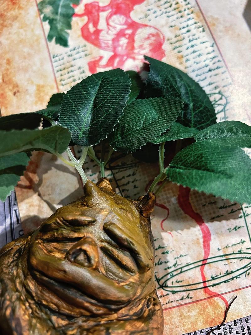 不用管啼哭的曼德拉草和发出声音的宝箱？霍格沃茨之遗必看开荒避坑指南-3