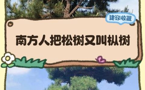 烟雨江湖树木采集全攻略：木材用途详解与高效获取技巧