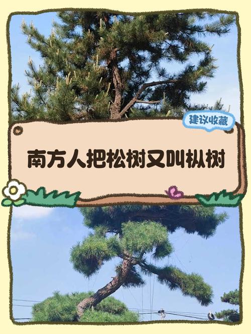 烟雨江湖树木采集全攻略:木材用途详解与高效获取技巧-1 烟雨江湖树木采集全攻略:木材用途详解与高效获取技巧-1