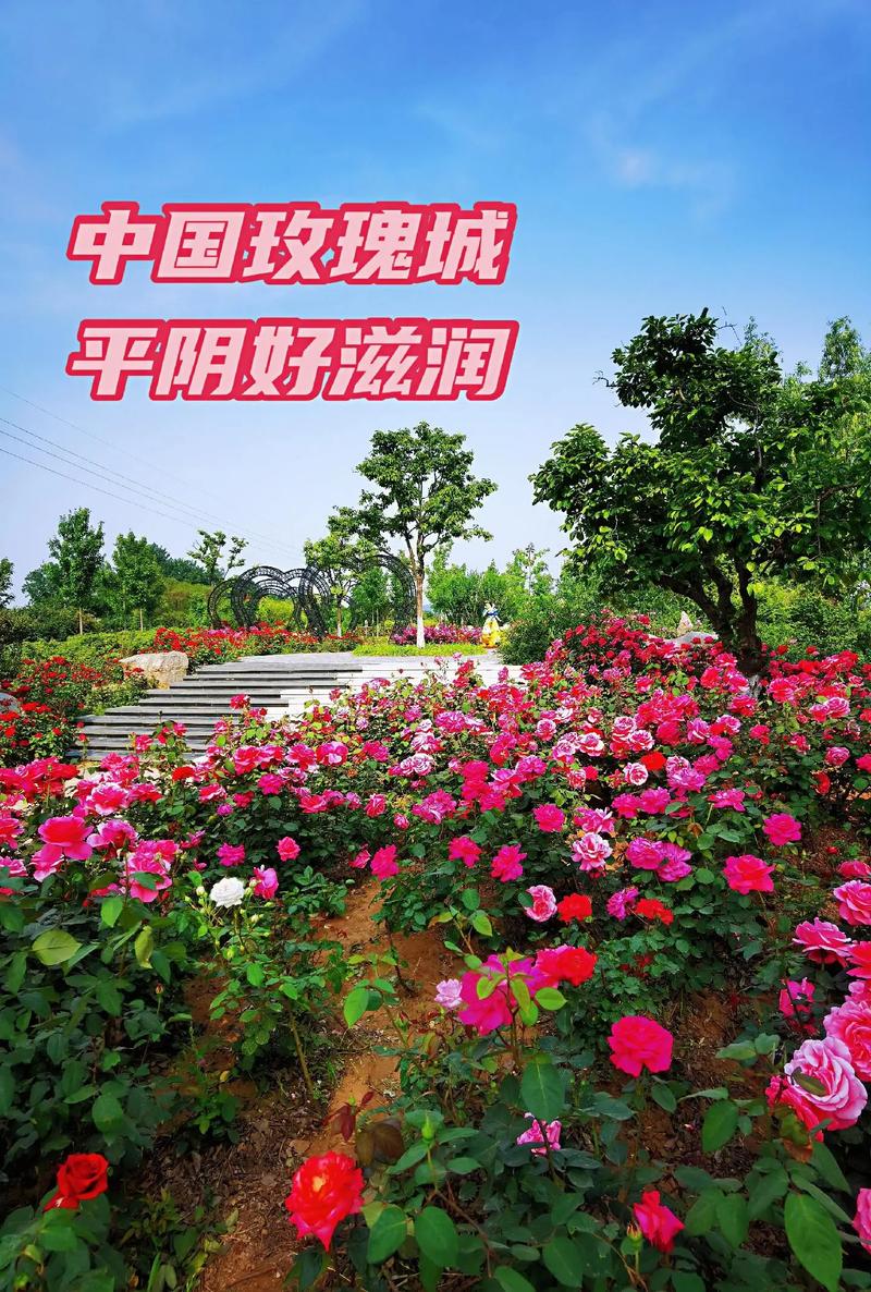 玫瑰小镇图标点亮全攻略,3分钟教你轻松点亮所有图标-2 玫瑰小镇图标点亮全攻略,3分钟教你轻松点亮所有图标-2