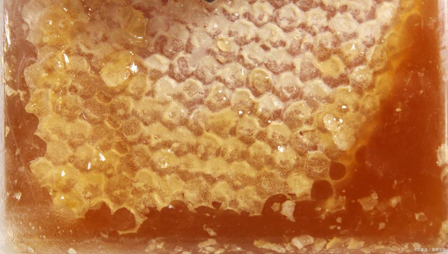 蜜蜂还是胡蜂？3分钟搞懂哪些蜂能制造蜂蜡-4