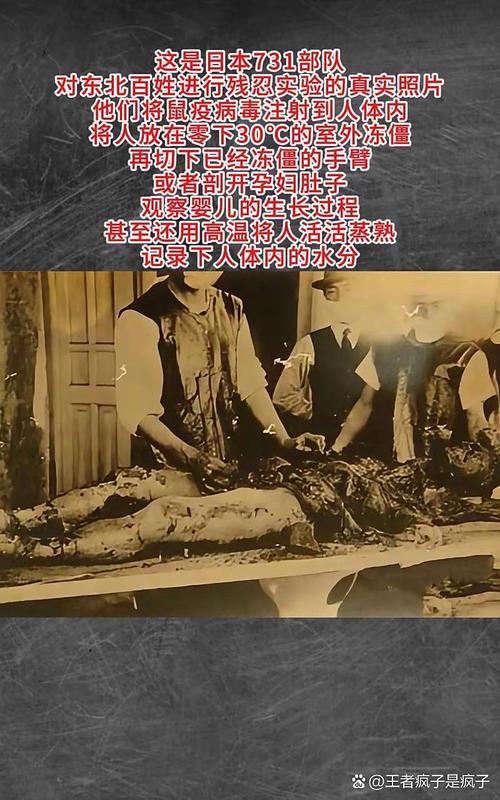 犯罪大师时代的悲剧下最新攻略 3分钟速通隐藏结局-3 犯罪大师时代的悲剧下最新攻略 3分钟速通隐藏结局-3