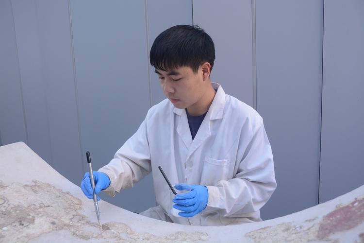 考古学训练师在哪找？5分钟速通全地图训练师位置攻略-4