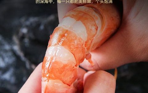 冰川红虾怎么钓最快？3个高效点位与时间详解
