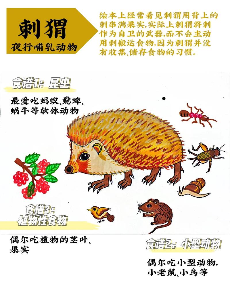 动物餐厅刺猬怎么解锁？3个必看条件与快速邀请攻略-4