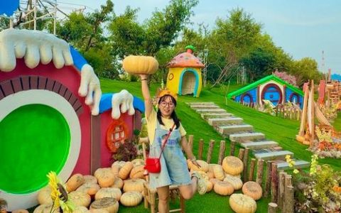 玫瑰小镇绿野精灵怎么获得？最新获取方法全攻略