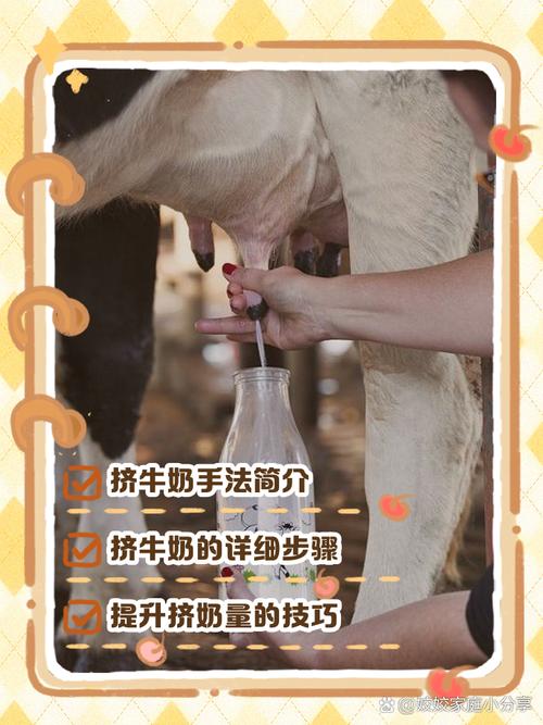 奶牛关怎么进？最新隐藏关卡开启方法详解-4