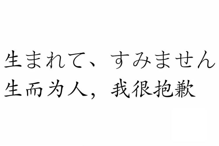 生而耀眼我很抱歉：5分钟看懂新英雄核心机制与连招技巧-4
