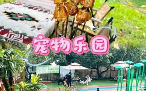 《宠物森林》2026年实测：这游戏到底好不好玩？新手入坑必看评测