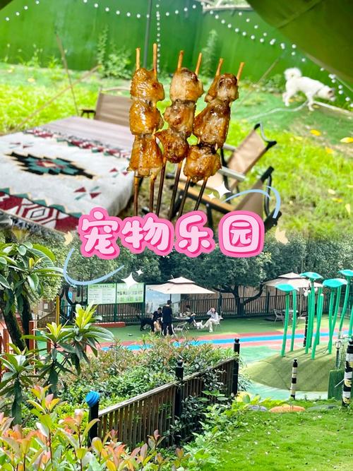 《宠物森林》2026年实测：这游戏到底好不好玩？新手入坑必看评测-1