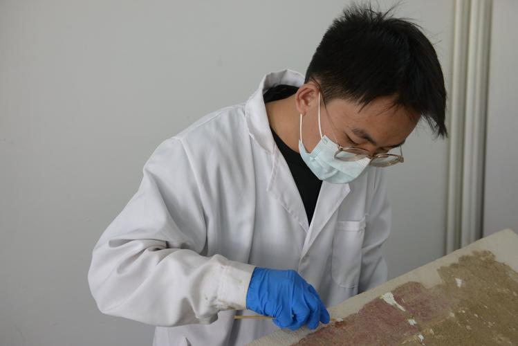 考古学训练师在哪找？5分钟速通全地图训练师位置攻略-2