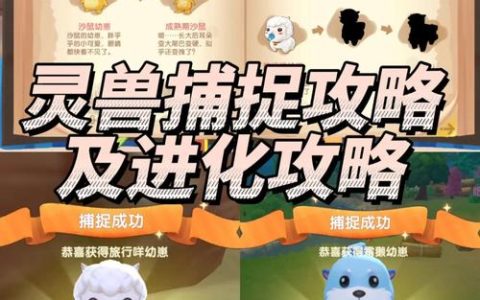 摩尔庄园精灵捕捉全攻略：3分钟学会高效抓宠技巧