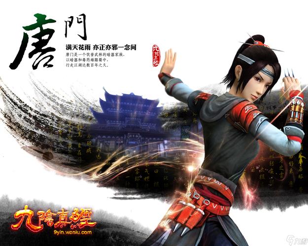 九阴真经唐门怎么玩？2026最新PVP与副本实战攻略解析-4