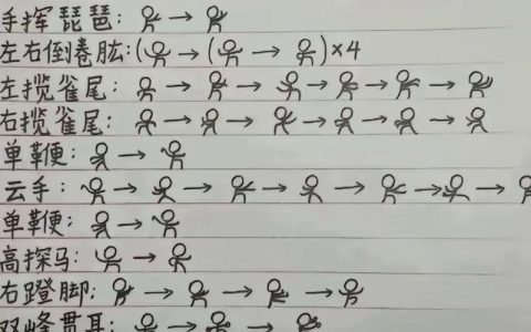 九阴真经演武场速成技巧，5分钟掌握连招核心机制