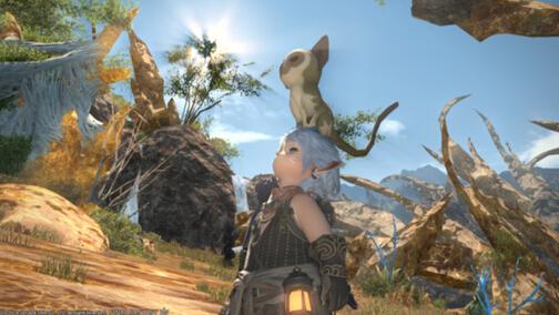 FF14讨伐笔记全攻略:高效清完所有讨伐任务技巧-2 FF14讨伐笔记全攻略:高效清完所有讨伐任务技巧-2