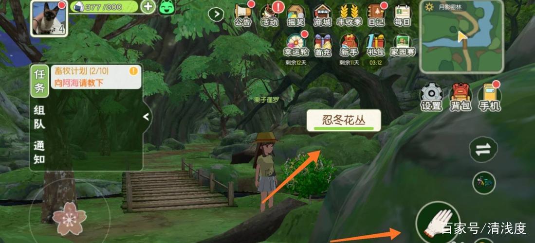 小森生活忍冬花采集位置全攻略,3个高效点位轻松找齐-4 小森生活忍冬花采集位置全攻略,3个高效点位轻松找齐-4