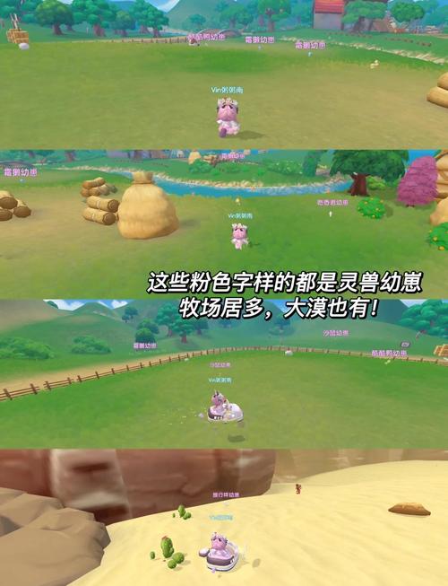摩尔庄园精灵捕捉全攻略:3分钟学会高效抓宠技巧-4 摩尔庄园精灵捕捉全攻略:3分钟学会高效抓宠技巧-4