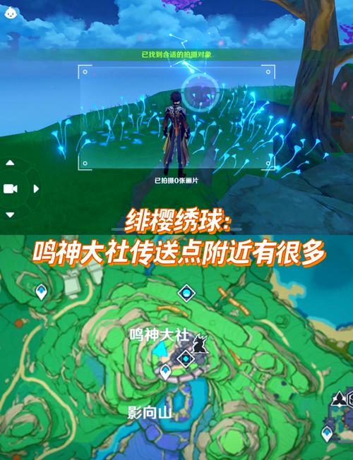 稻妻特产拍照攻略：4张图轻松完成采集任务-3