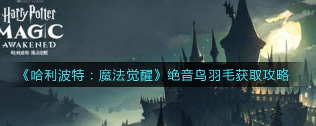 绝音鸟羽毛获取攻略:3个高效刷取地点与刷新时间详解-3 绝音鸟羽毛获取攻略:3个高效刷取地点与刷新时间详解-3