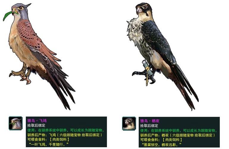 剑网3丐帮跟宠获取全攻略，5分钟教你轻松领养小乞丐-3