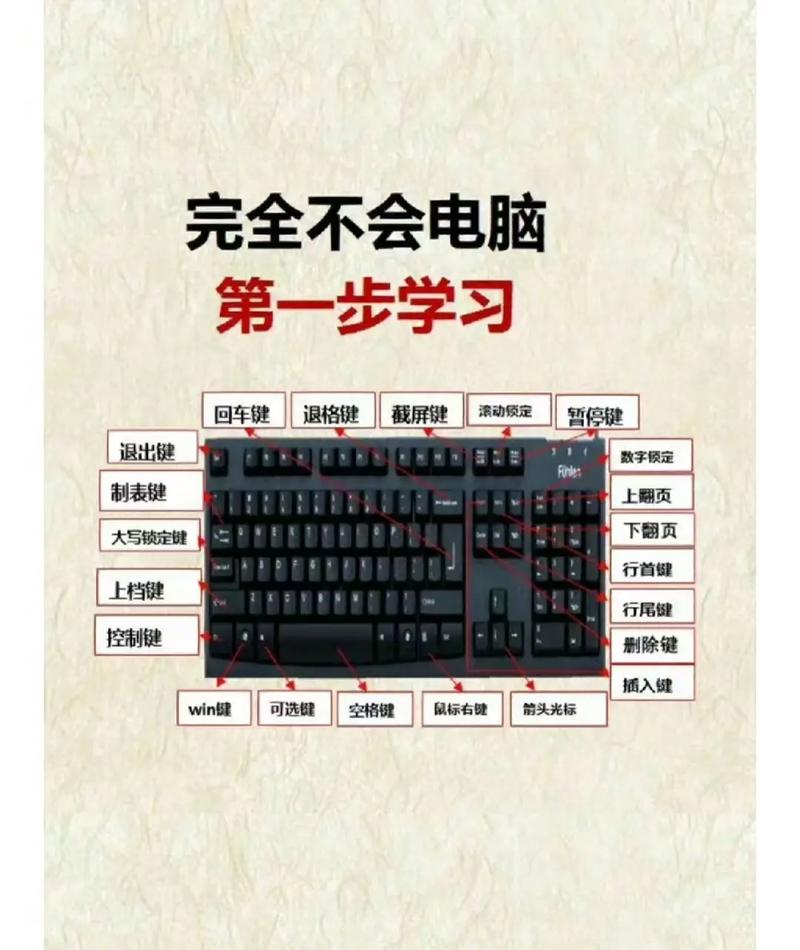 基础精通者怎么玩？3分钟看懂核心机制与开荒配队-3