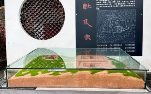 考古冲级攻略：5个高效技巧助你轻松冲满专业技能