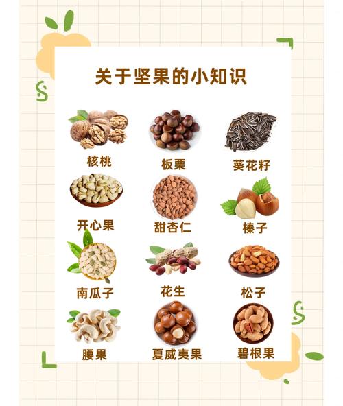 拿坚果攻略:3分钟学会高效收集技巧,轻松开荒必备-2 拿坚果攻略:3分钟学会高效收集技巧,轻松开荒必备-2