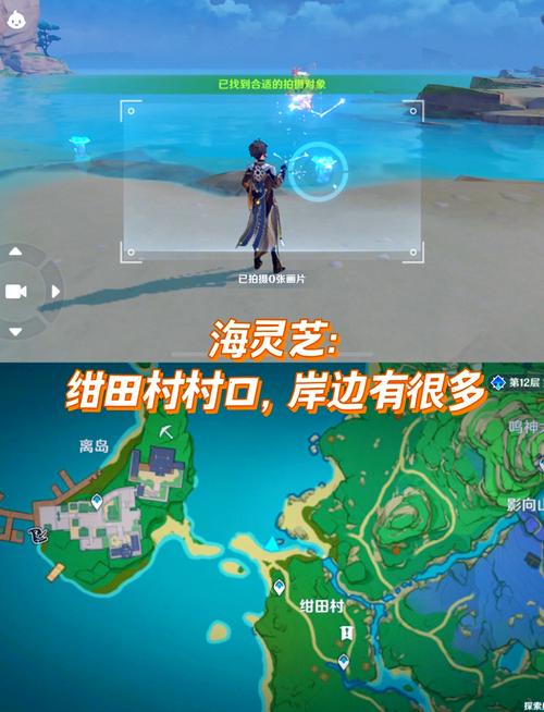 稻妻特产拍照攻略：4张图轻松完成采集任务-4