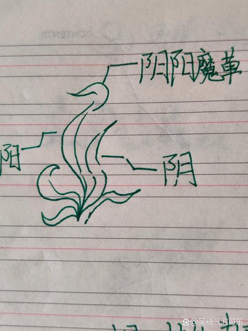 九阴真经野草坐标大全，5分钟教你轻松找齐所有刷新点-1