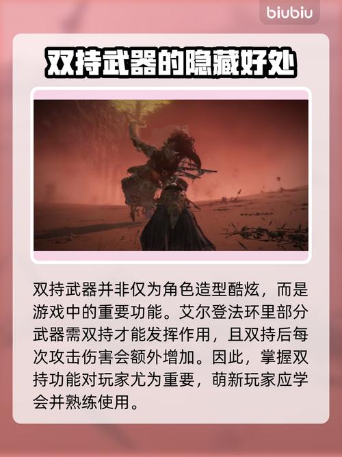 艾尔登法环双持怎么操作？手柄键盘按键设置与实战技巧详解-3