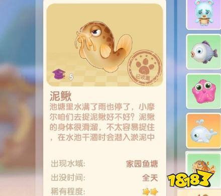 摩尔庄园泥鳅怎么钓？3个高效位置与全天刷新时间详解-1