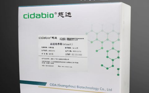 营地创作菌武器推荐：最新版本最强配装与实战打法解析