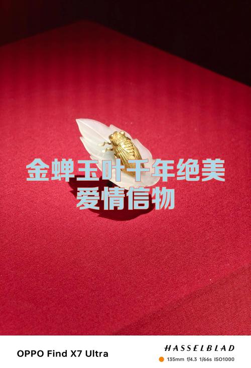 金蝉信物获取全攻略:3个必做任务轻松拿满奖励-3 金蝉信物获取全攻略:3个必做任务轻松拿满奖励-3