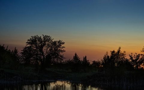 暮夕深林湖隐藏宝箱全收集攻略，5分钟带你轻松拿满奖励