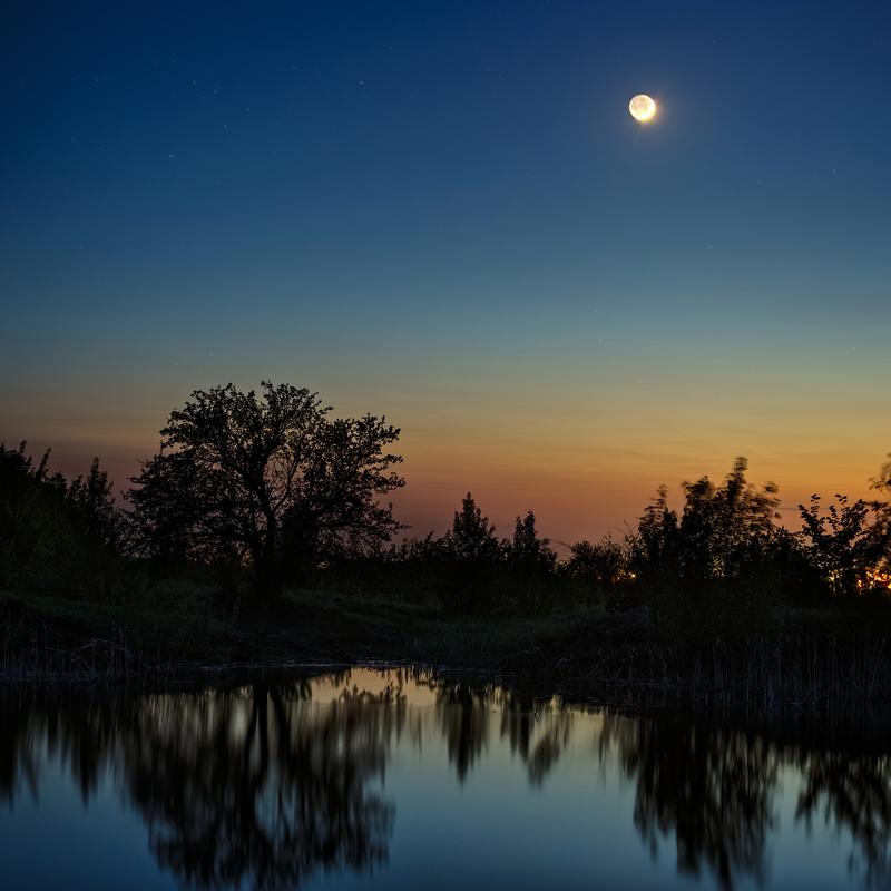 暮夕深林湖隐藏宝箱全收集攻略,5分钟带你轻松拿满奖励-1 暮夕深林湖隐藏宝箱全收集攻略,5分钟带你轻松拿满奖励-1