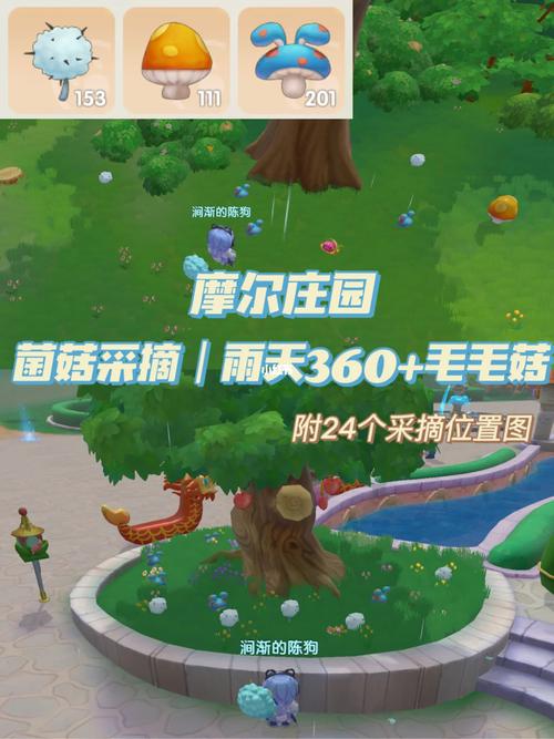 摩尔庄园毛毛菇怎么获得？最新采集位置与刷新时间详解-2