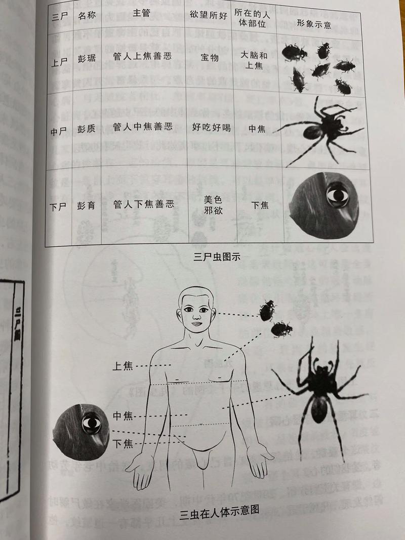 斗战神三尸虫打法攻略：5分钟教你轻松通关隐藏BOSS-4