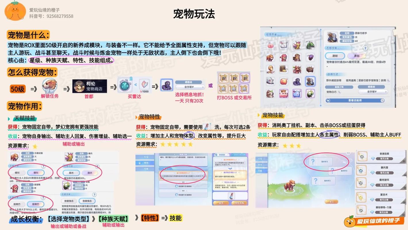 仙境传说RO坐骑解锁任务全攻略,5分钟教你轻松获得第一匹坐骑-2 仙境传说RO坐骑解锁任务全攻略,5分钟教你轻松获得第一匹坐骑-2