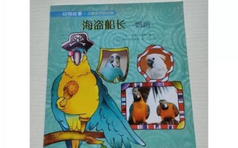 船长的鹦鹉怎么获得？3分钟教你解锁隐藏宠物攻略
