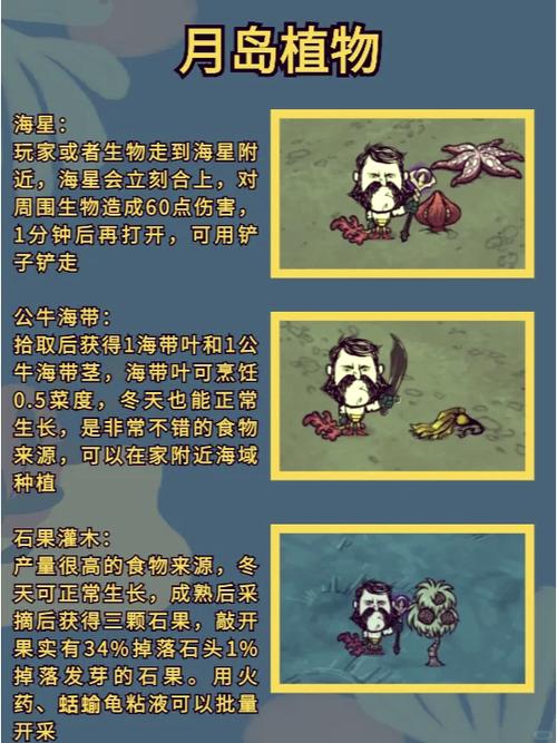 最新暗月岛怎么去？3分钟教你轻松抵达暗月马戏团-4
