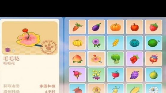 摩尔庄园毛毛爆囧菇怎么获得？最新获取方法与制作攻略-4