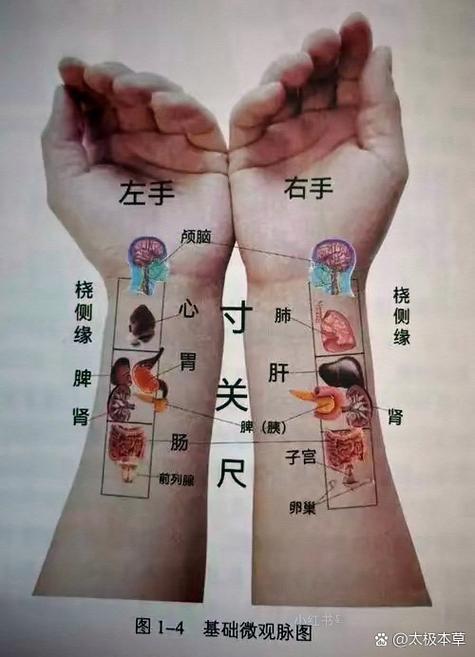 七秀镇派经脉怎么点？最新版本PVEPVP双修加点攻略-2