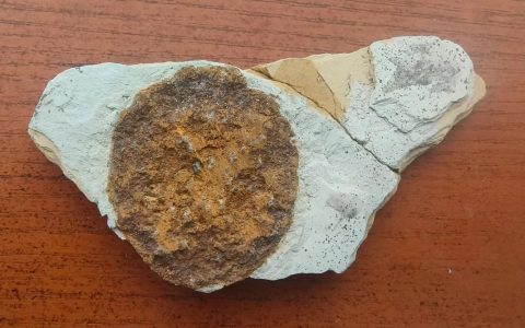 寻找装置缺失的晶核全收集攻略，5分钟速通隐藏成就