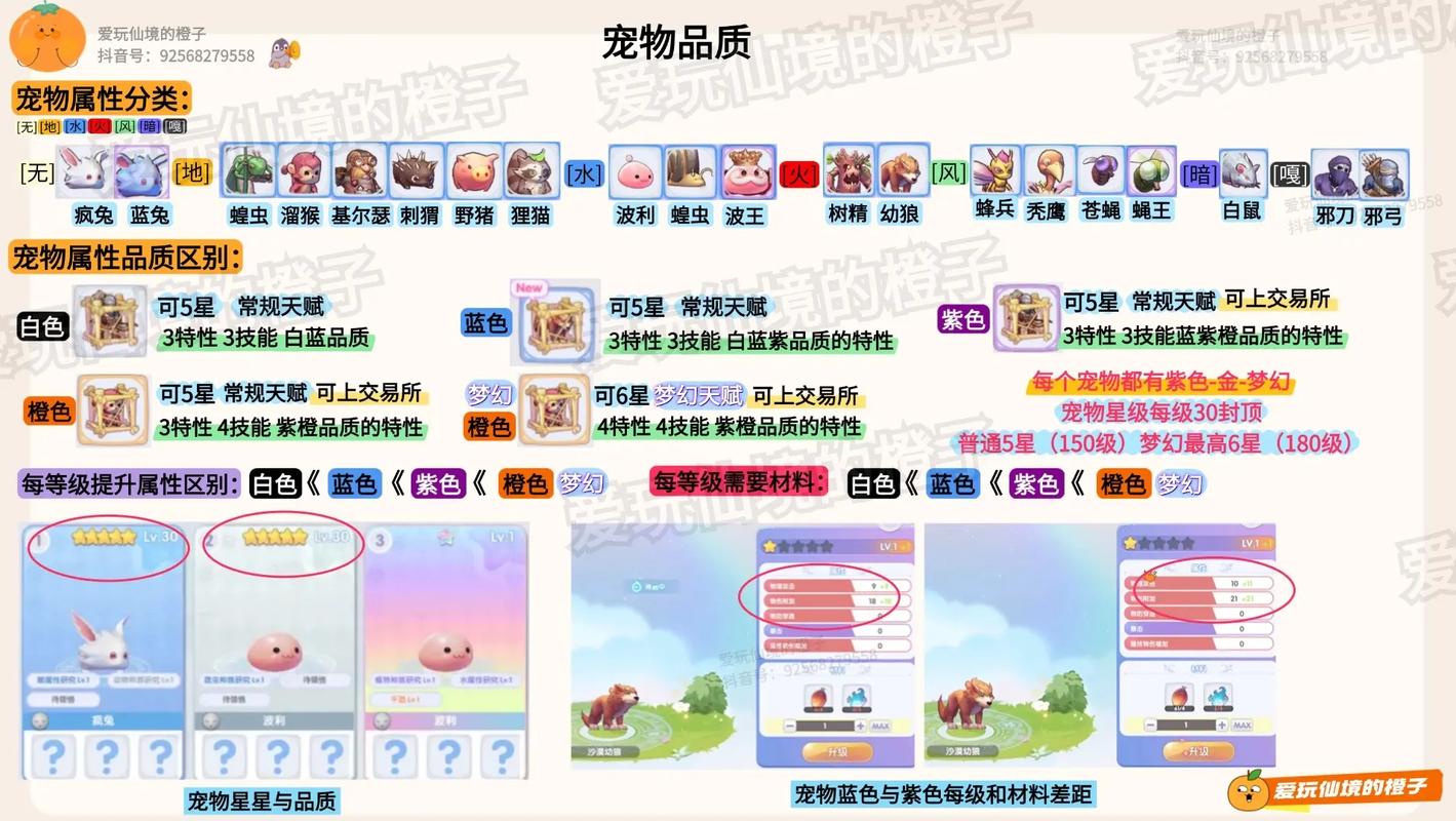 仙境传说RO坐骑解锁任务全攻略,5分钟教你轻松获得第一匹坐骑-1 仙境传说RO坐骑解锁任务全攻略,5分钟教你轻松获得第一匹坐骑-1