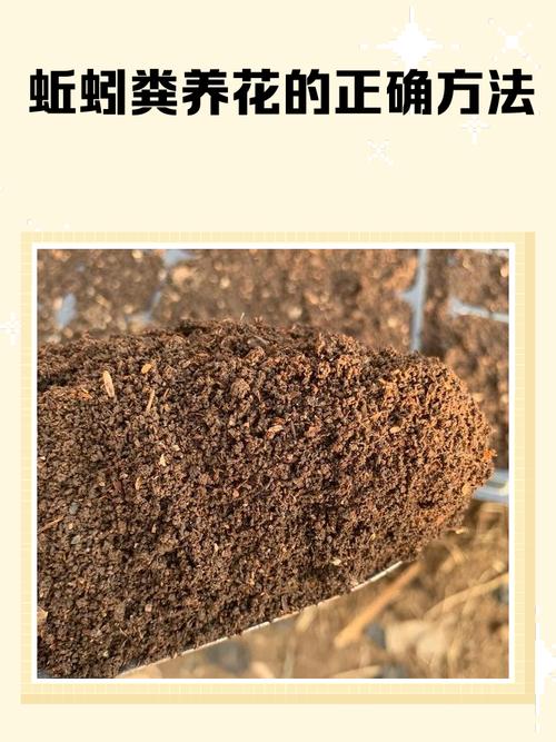 新手必看!给幼苗施龙粪的3个常见误区,小心烧苗-2 新手必看!给幼苗施龙粪的3个常见误区,小心烧苗-2
