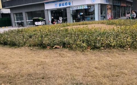 祥和微粒速刷路线推荐，3个点位高效收集攻略