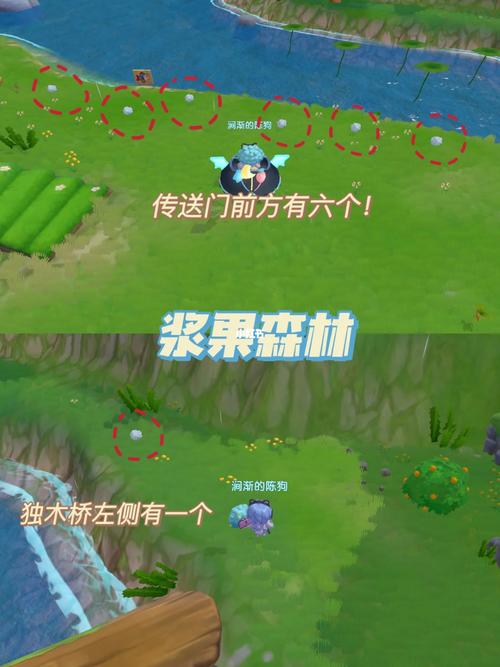 摩尔庄园毛毛菇怎么获得？最新采集位置与刷新时间详解-3