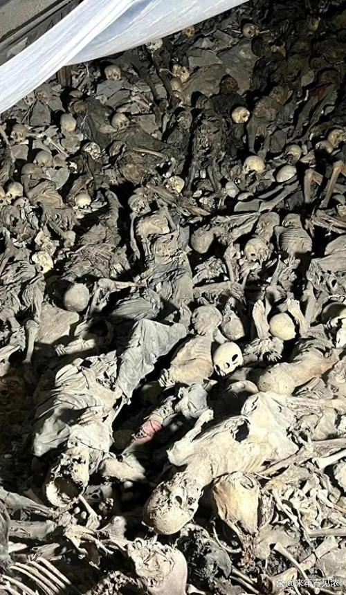 白骨碎片速刷攻略：5分钟高效收集路线与隐藏掉落点-2