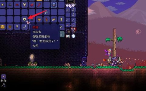 泰拉瑞亚海盗入侵怎么触发？3分钟速刷完整攻略